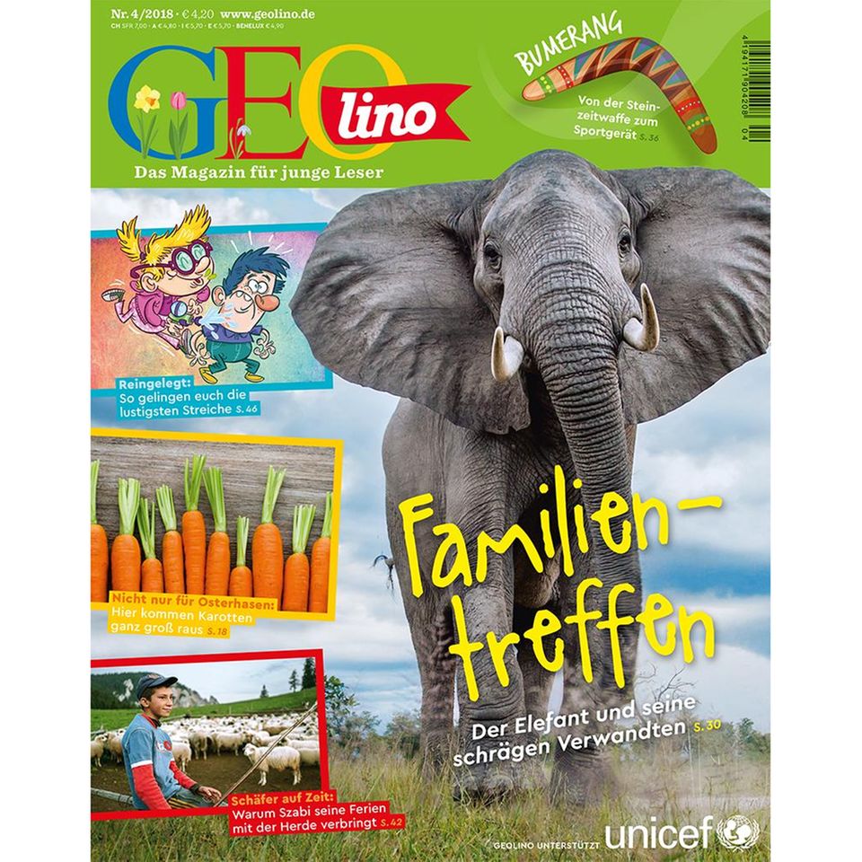 Der Elefant und seine schrägen Verwandten