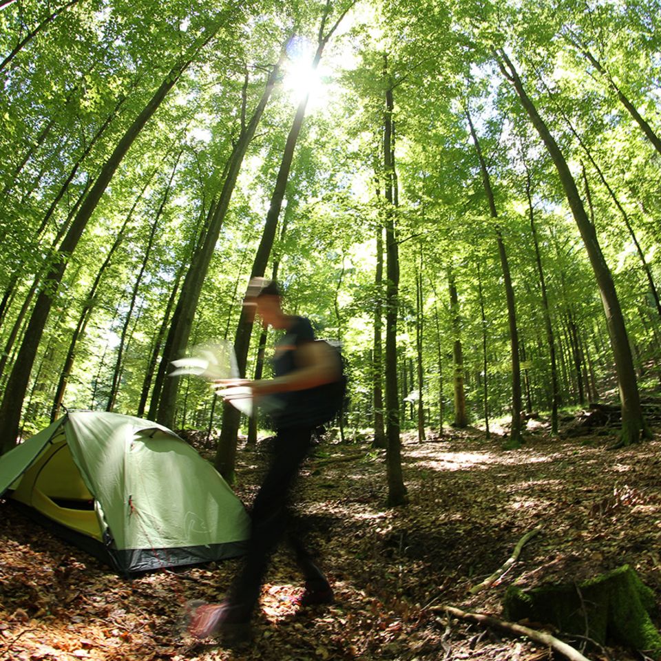 Trekking, Naturpark Schwarzwald Mitte/Nord