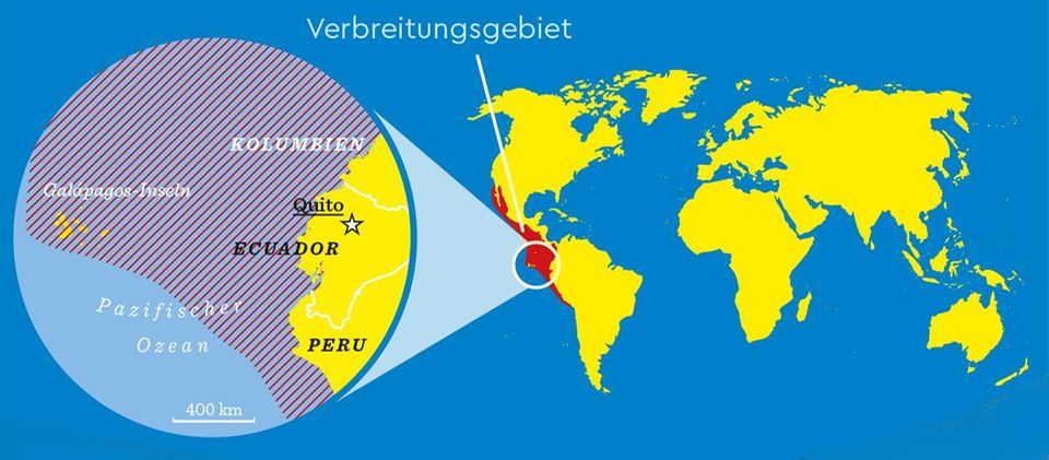 Karte: Verbreitungsgebiet der Blaufußtölpel Karte: Verbreitungsgebiet der Blaufußtölpel
