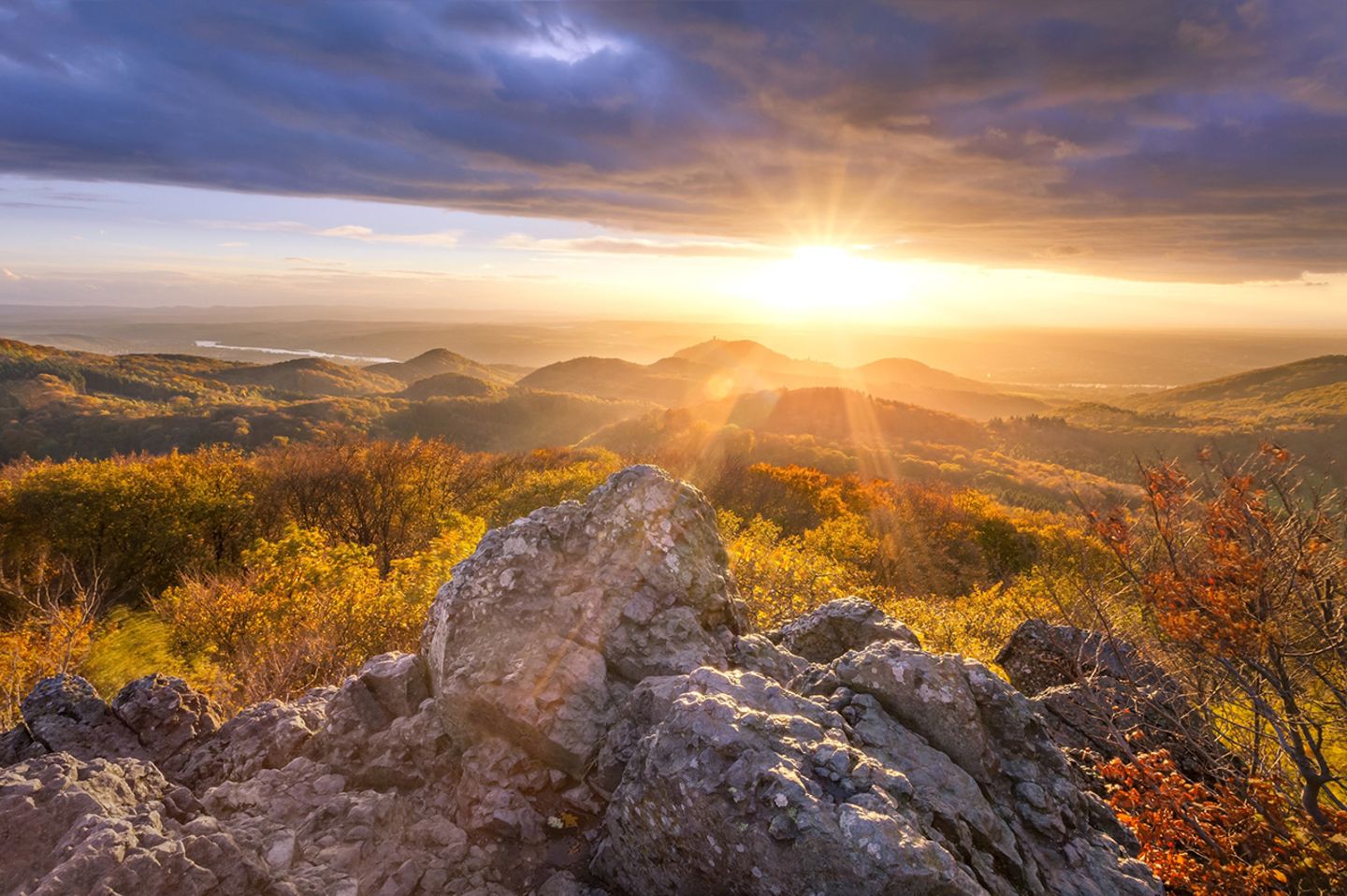 Naturpark Siebengebirge Ölberg, Siebengebirge