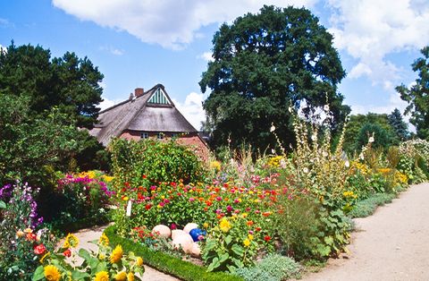 Arboretum EllerhoopThiensen [GEO]