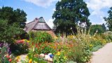 Arboretum Ellerhoop
