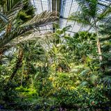 Palmengarten in Frankfurt am Main