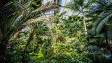 Palmengarten in Frankfurt am Main