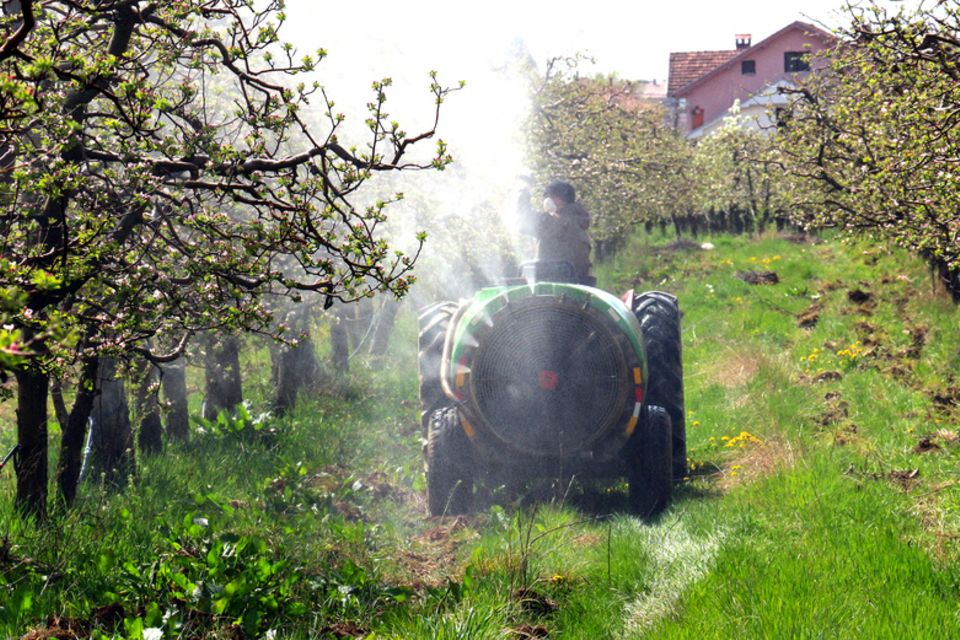 Apfelplantage, Pestizide