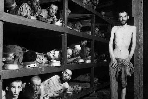 Auschwitz, Überlebende