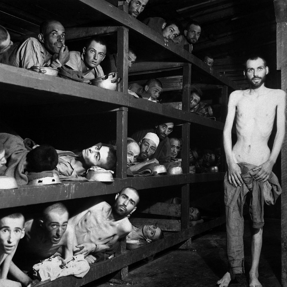 Auschwitz, Überlebende