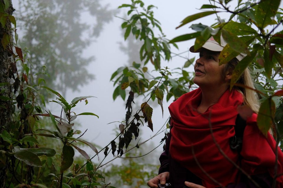 Dezember 2017: Geschäftsführerin Eva Danulat besucht im morgendlichen Nebel eine der aufgeforsteten Flächen von Nalang