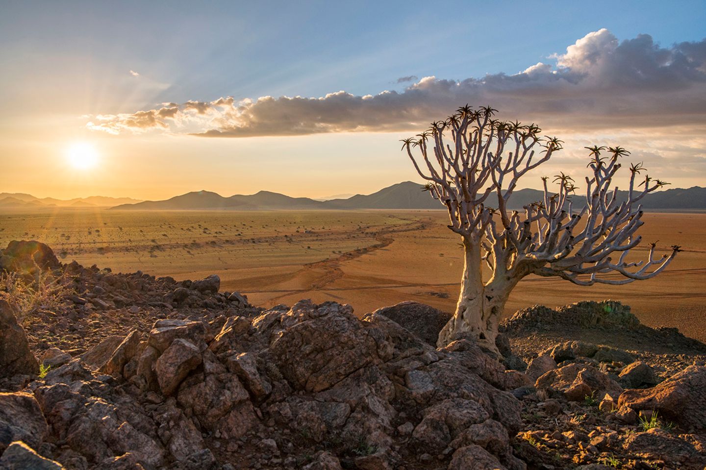 GEO Leserfoto: Die besten Leserfotos: April 2018 - Bild 8 Tirasberge am Rande der Namib im Süden Namibias