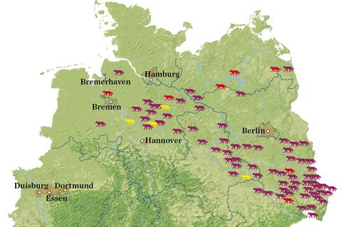 Wolf in Deutschland - Karte