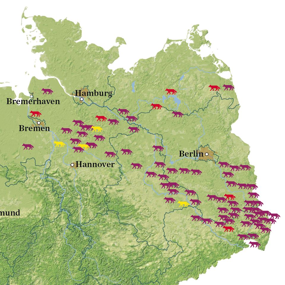 Wolf in Deutschland - Karte Wolf in Deutschland - Karte