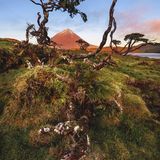 Pico, Azoren, Portugal, 2018