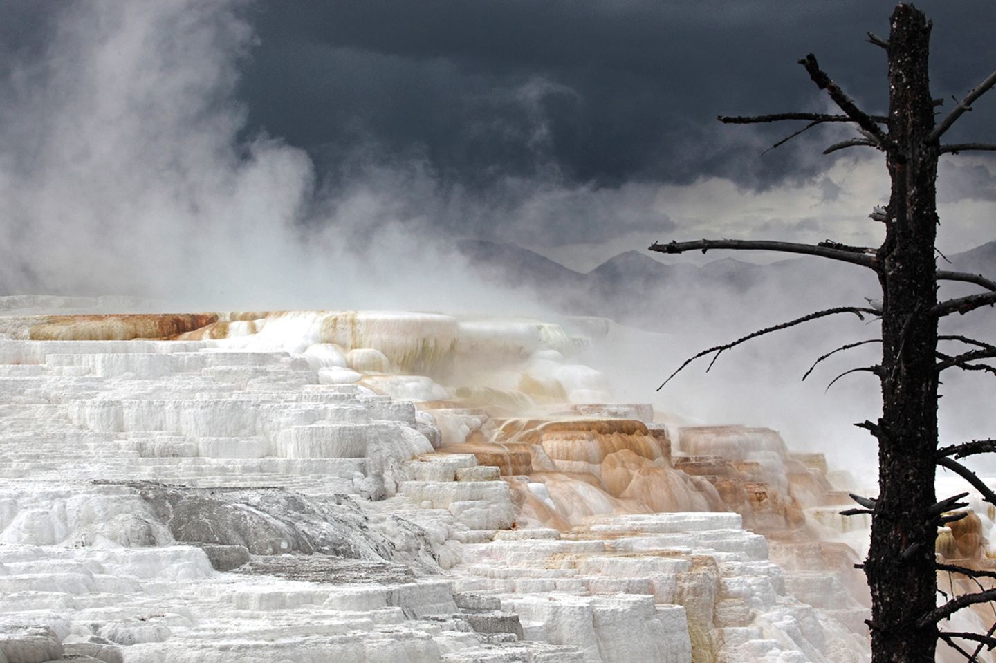 Mammoth Hot Springs, Wyoming, USA Mammoth Hot Springs, Wyoming, USA