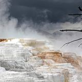 Mammoth Hot Springs, Wyoming, USA
