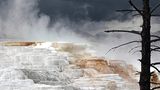 Mammoth Hot Springs, Wyoming, USA
