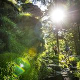 Goldsteig, am Kaitersberg, Etappe Nr. 12