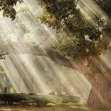 Fazenda Barranco Alto, Pantanal, Brasilien