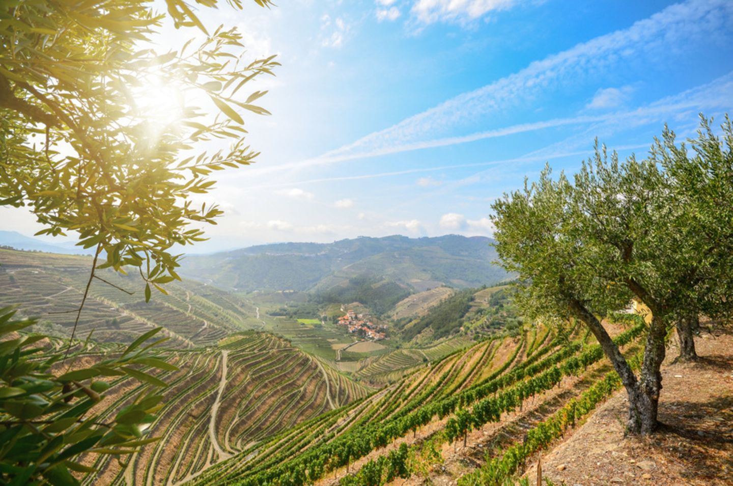 Linha do Douro, Portugal