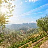 Linha do Douro, Portugal