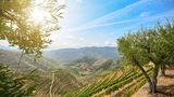 Linha do Douro, Portugal