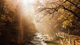 Wanderweg an der Bode