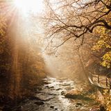 Wanderweg an der Bode