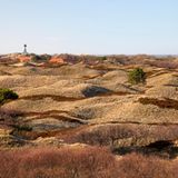 Dünenlandschaft, Insel Spiekeroog