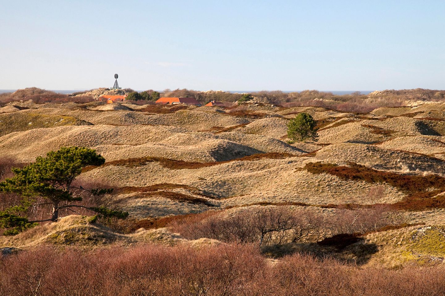 Dünenlandschaft, Insel Spiekeroog