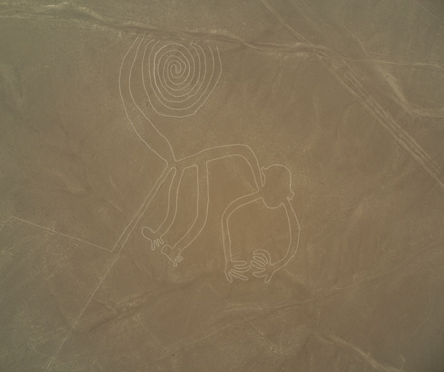 Nasca Linien, Affe in Peru