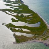 Naturschutzgebiet Graswarder