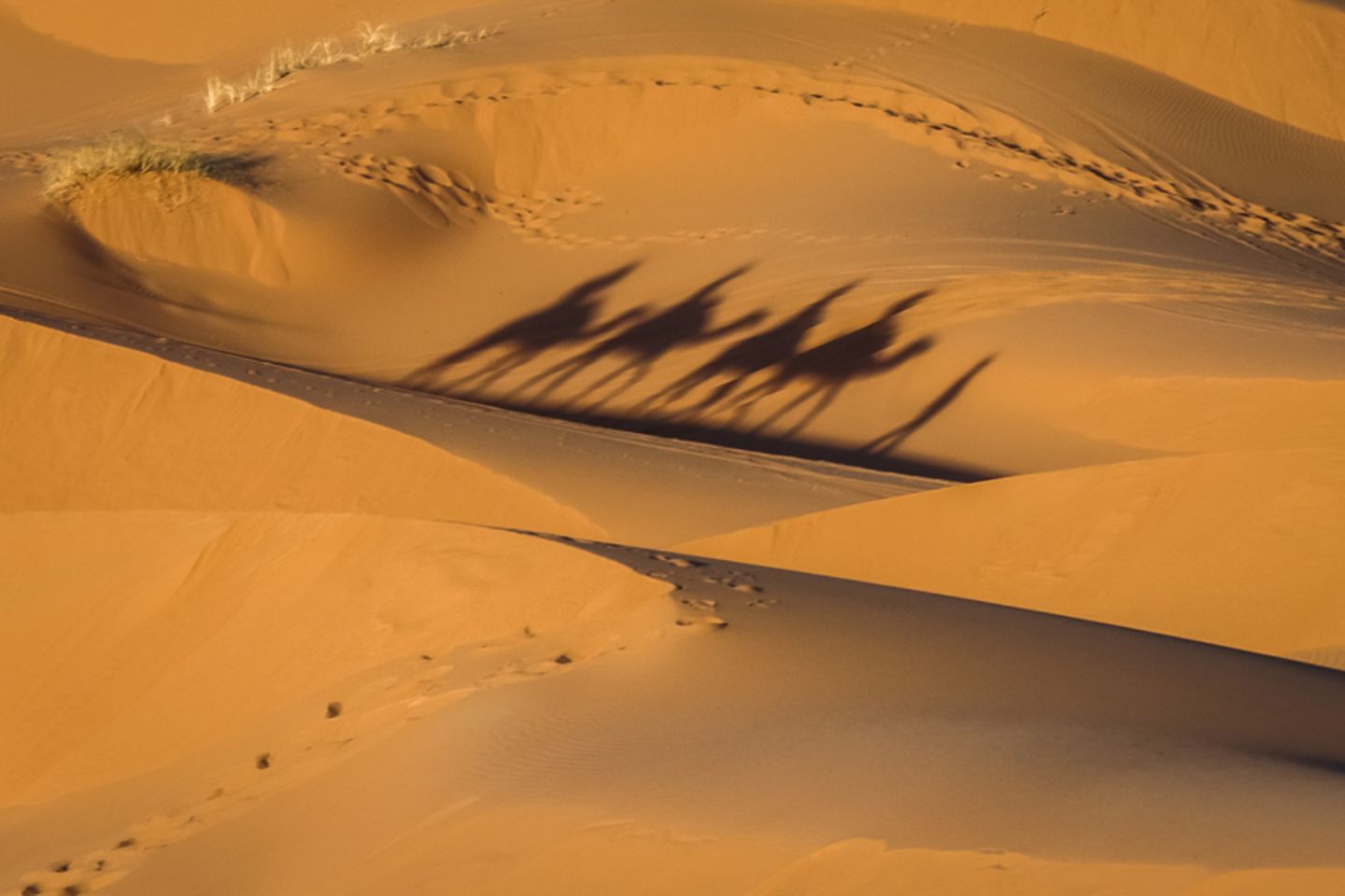 Fata Morgana in der Wüste