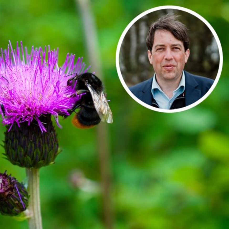 Foto: Colourbox, Malte Joost