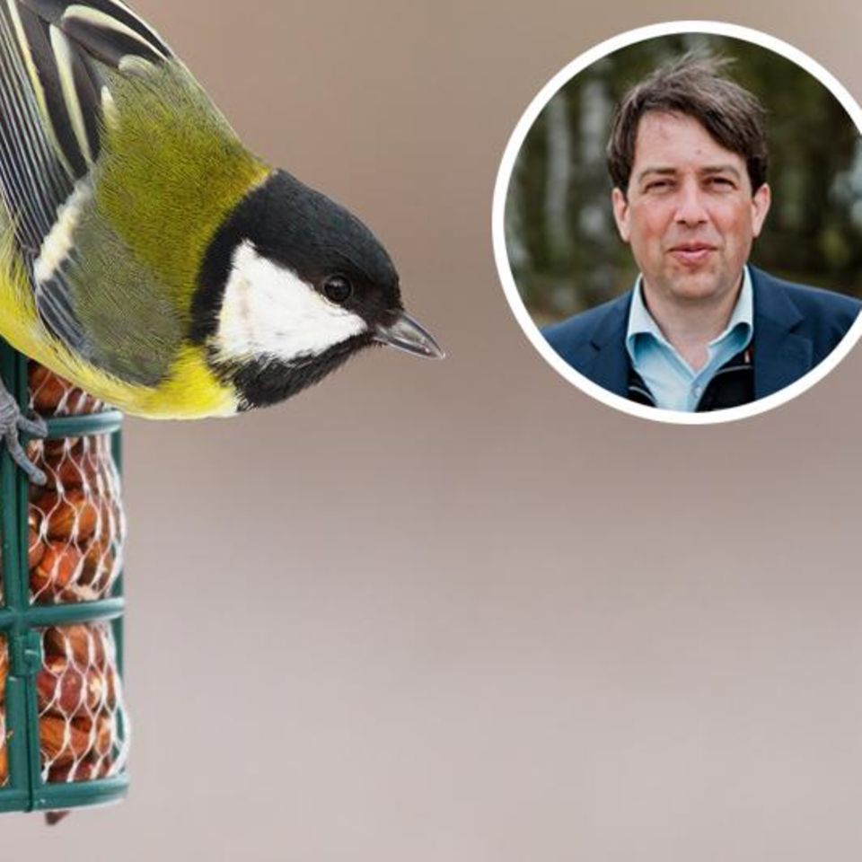 Foto: Colourbox, Malte Joost
