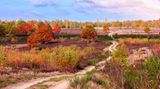 Döberitzer Heide