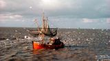 Wattenmeer, Niederlande