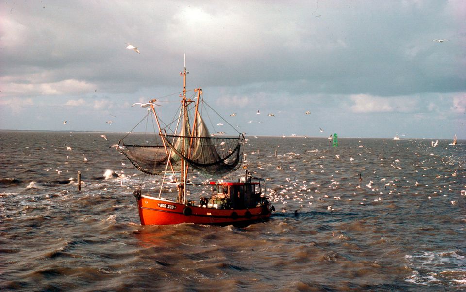 Wattenmeer, Niederlande