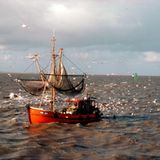 Wattenmeer, Niederlande