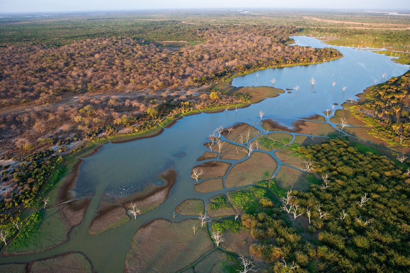 Selous, Tansania