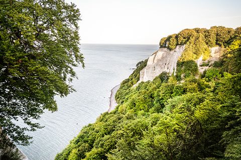 Rügen