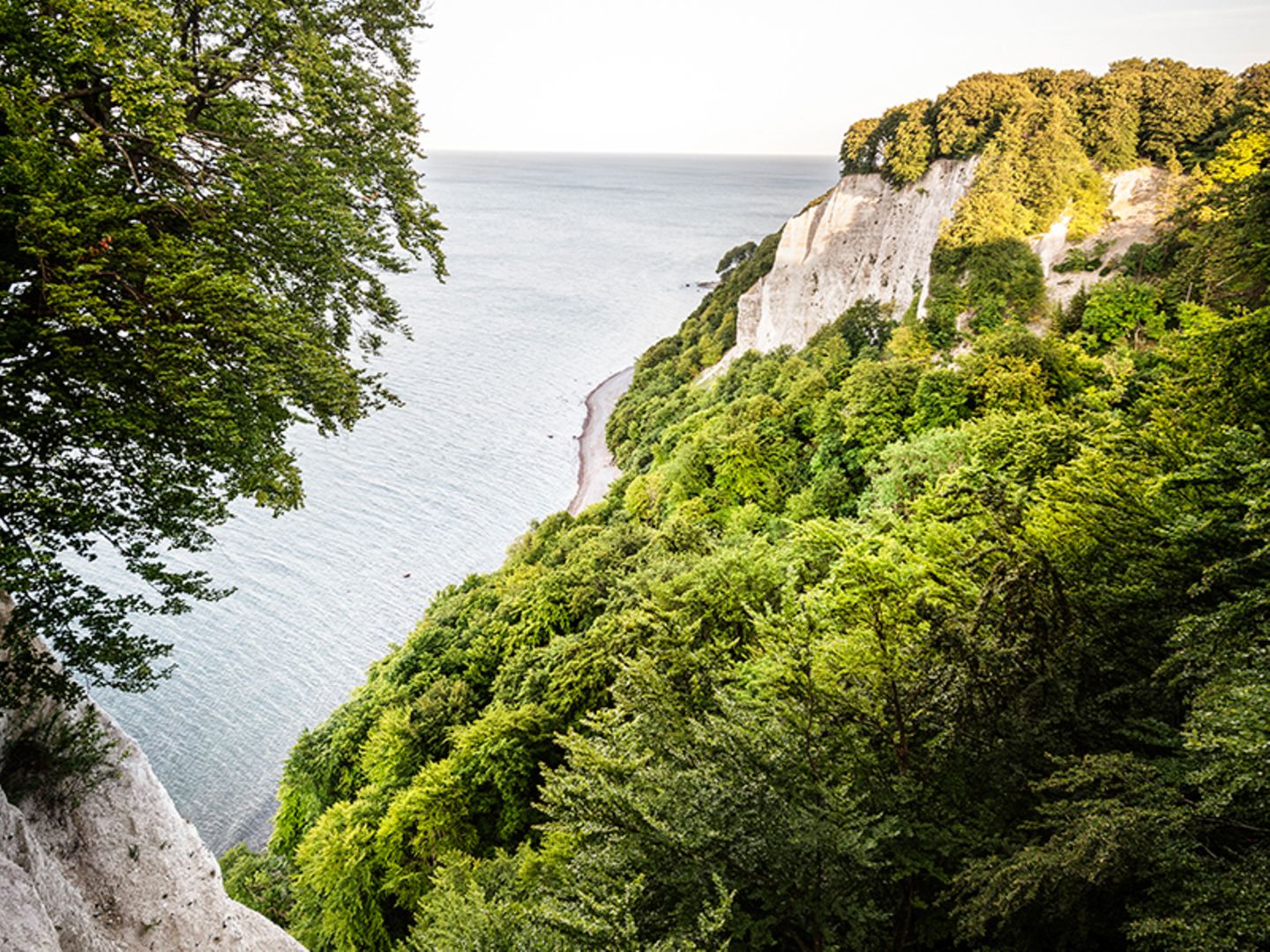 Rügen