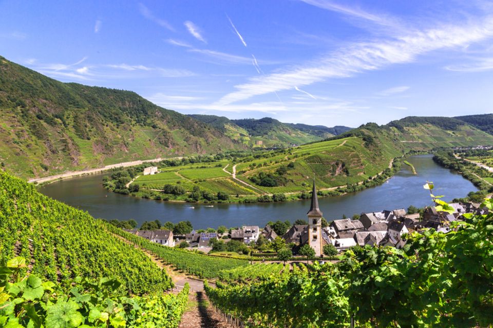 Mosel  1.5