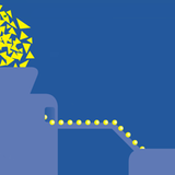 PET Flaschen Sortierung