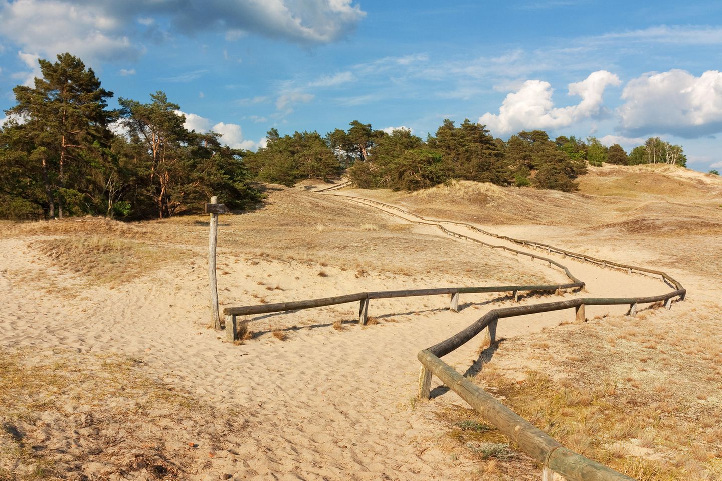 Die Wanderdüne in Klein Schmölen bei Dömitz an der Elbe