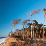 Weststrand, Zingst