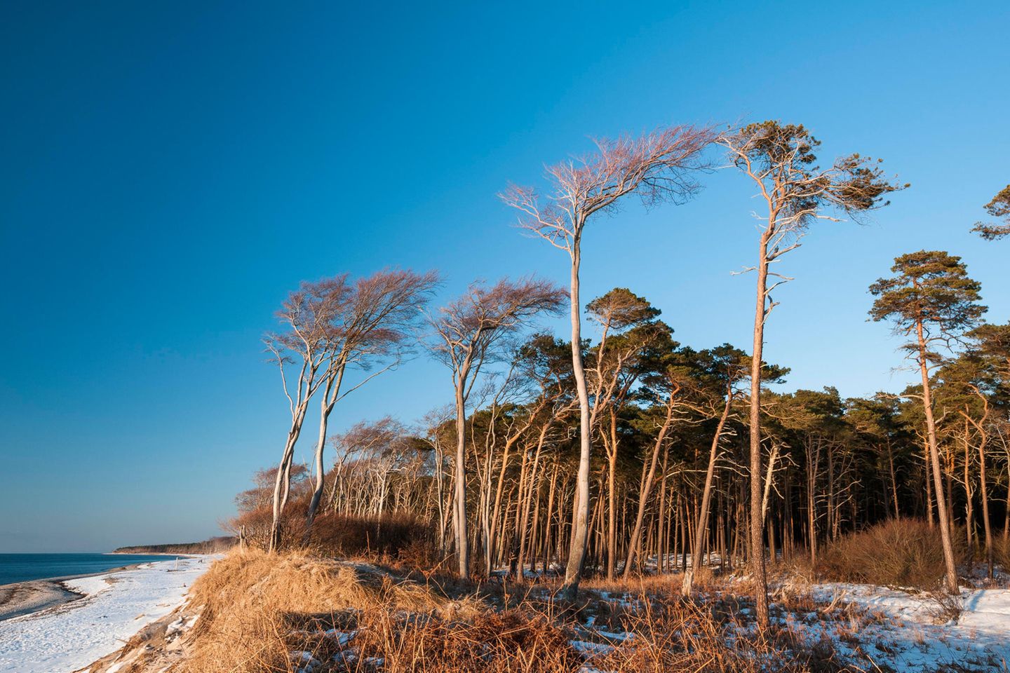 Der Weststrand von Darß Weststrand, Zingst
