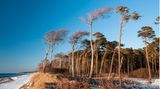 Weststrand, Zingst