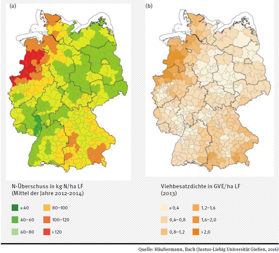 Landwirtschaftlicher Flächenbilanzüberschuss für Stickstoff (a) und