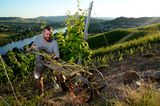 Weingut AXEL PAULY