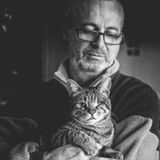 Sabrina Boem - Männer und Katzen