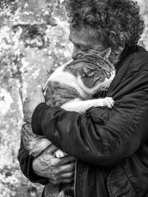 Sabrina Boem - Männer und Katzen